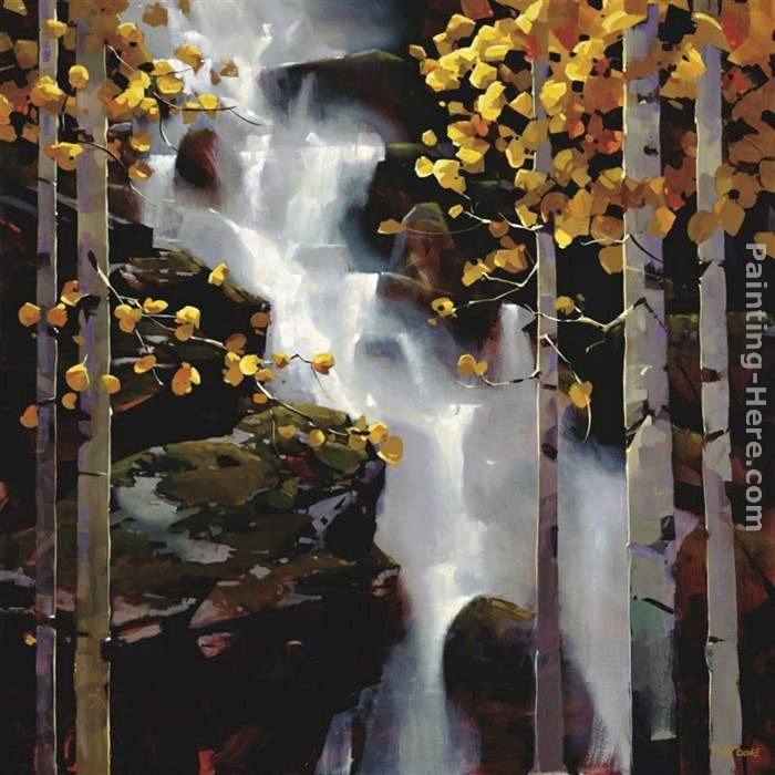 Michael O'Toole Waterfall
